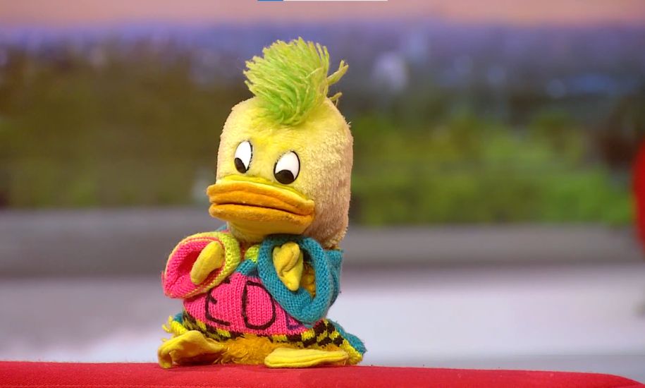 Edd the Duck