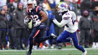 new england patriots vs buffalo bills match player stats