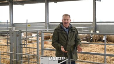 Adam Henson