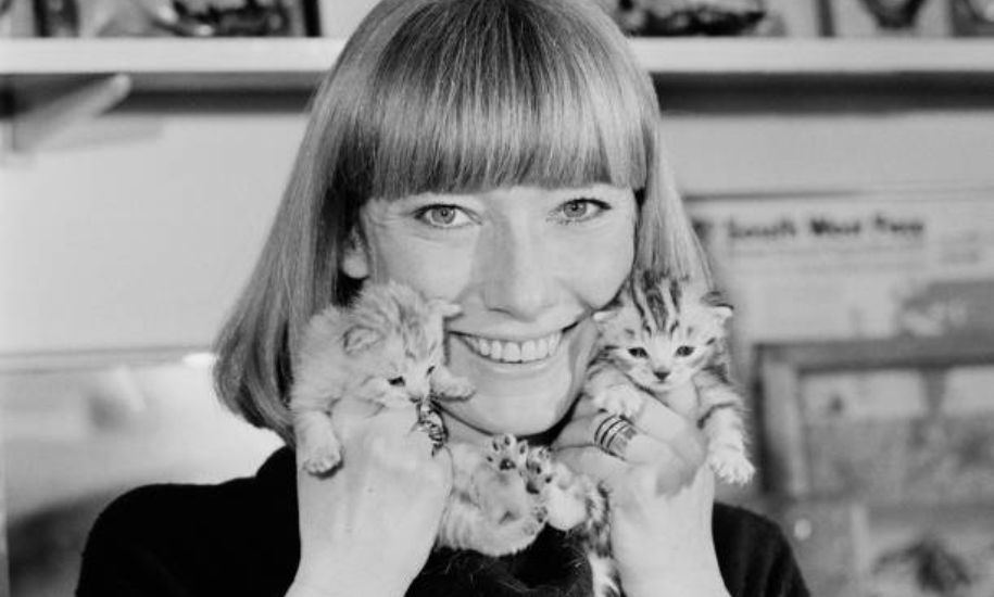 Lesley Judd