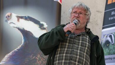 Bill Oddie