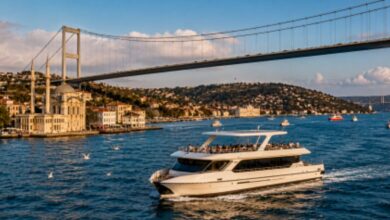 Bosphorus Cruises