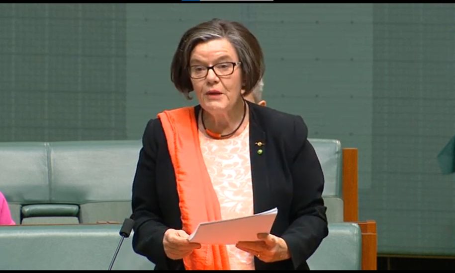 cathy mcgowan