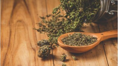 Cannabis