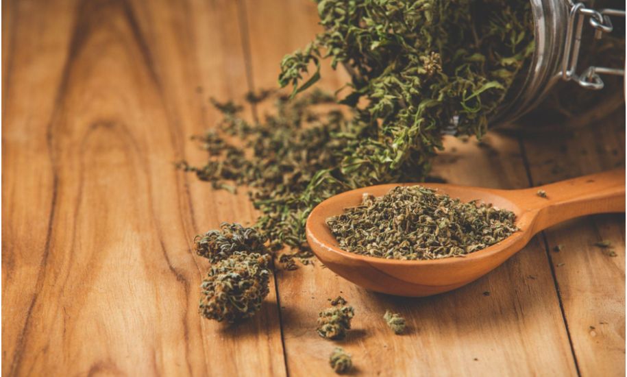 Cannabis