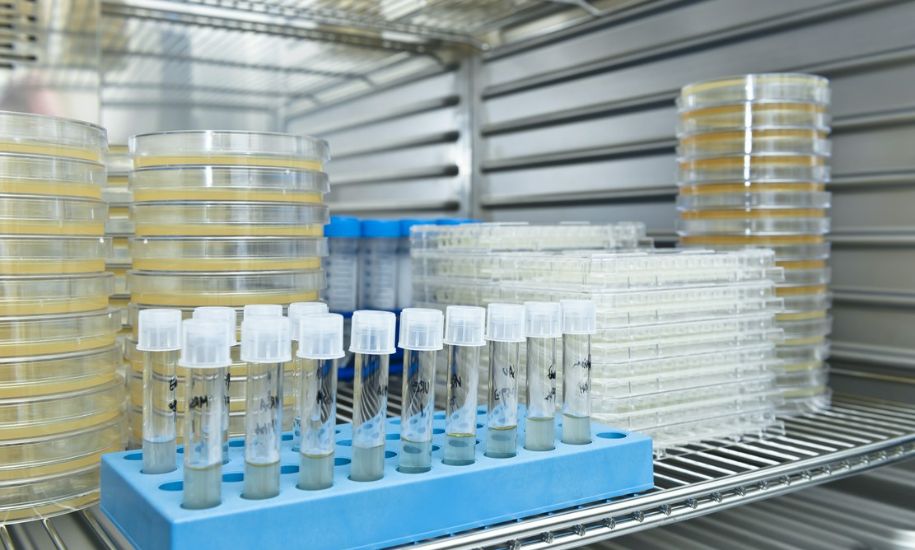 Sterilization