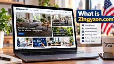 zingyzon. com